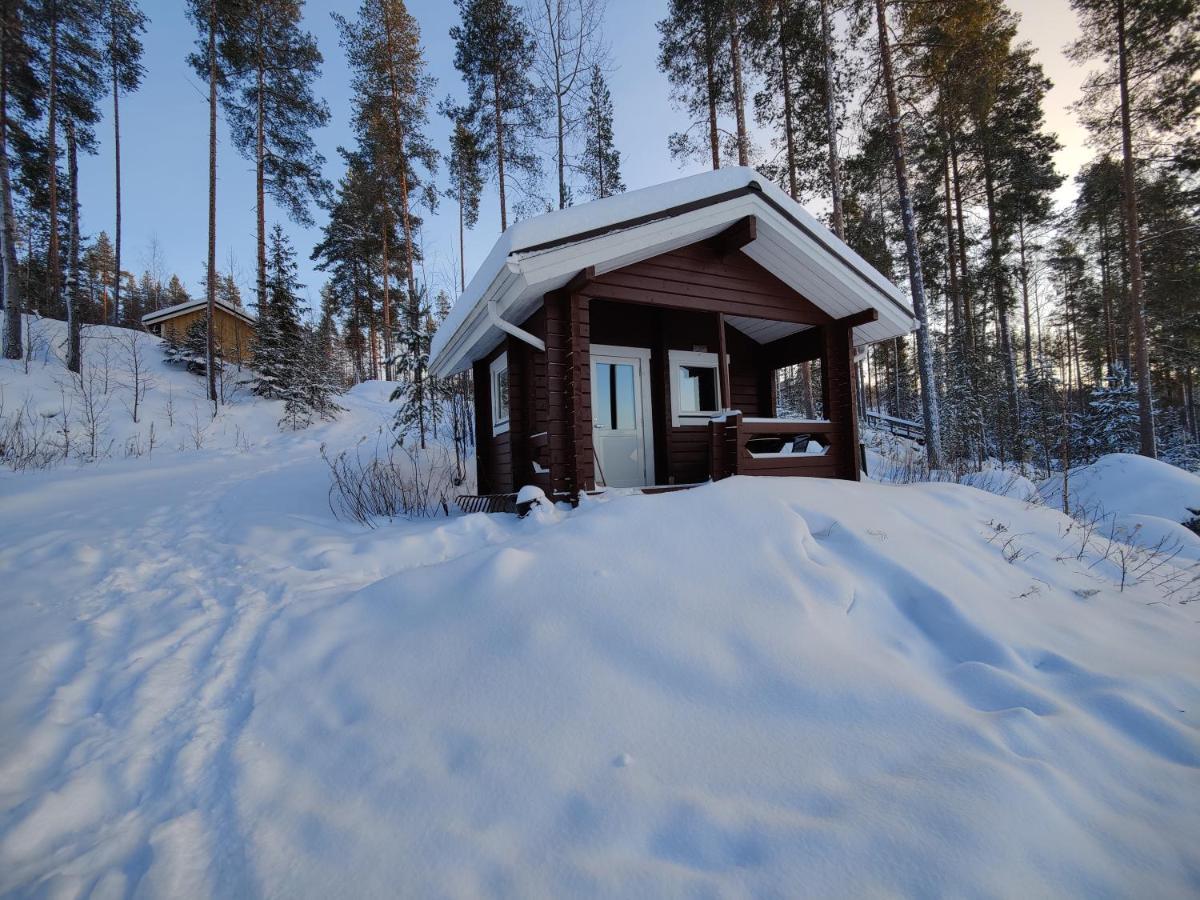 Lake Cottage Jaenisvaara Koli  Bagian luar foto
